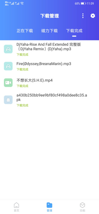 域下载器(全能下载神器)下载