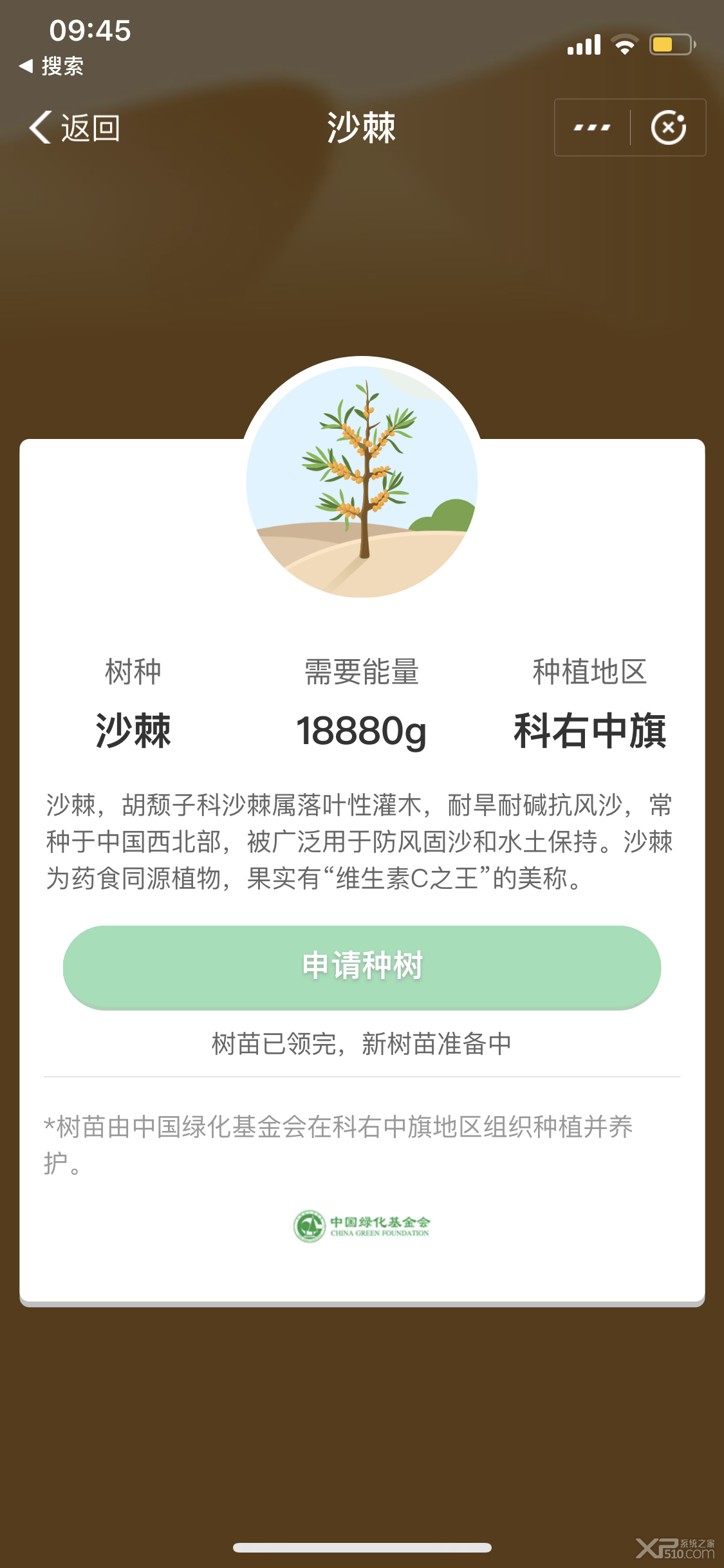 支付宝蚂蚁森林新树苗沙棘什么时候上线