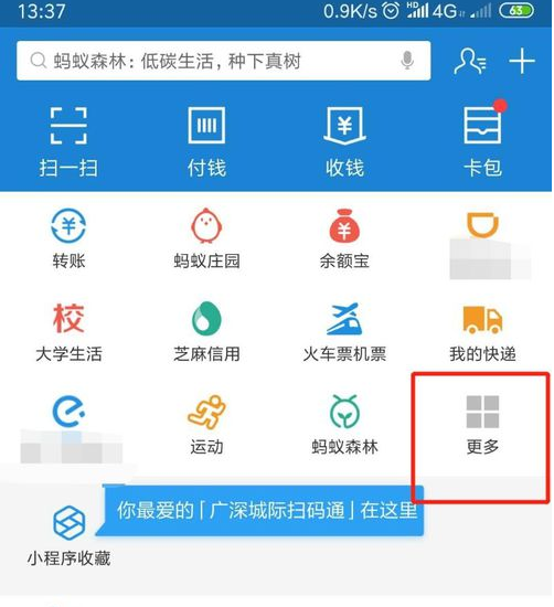 支付宝怎么查看驾照扣分情况