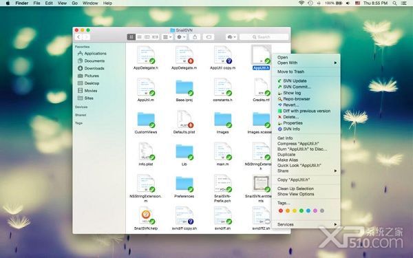 snailsvn mac 破解版