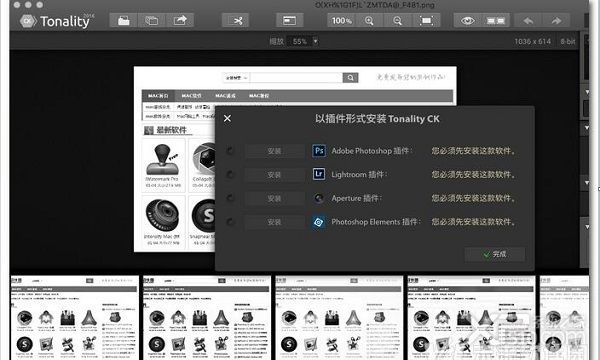 Tonality破解版