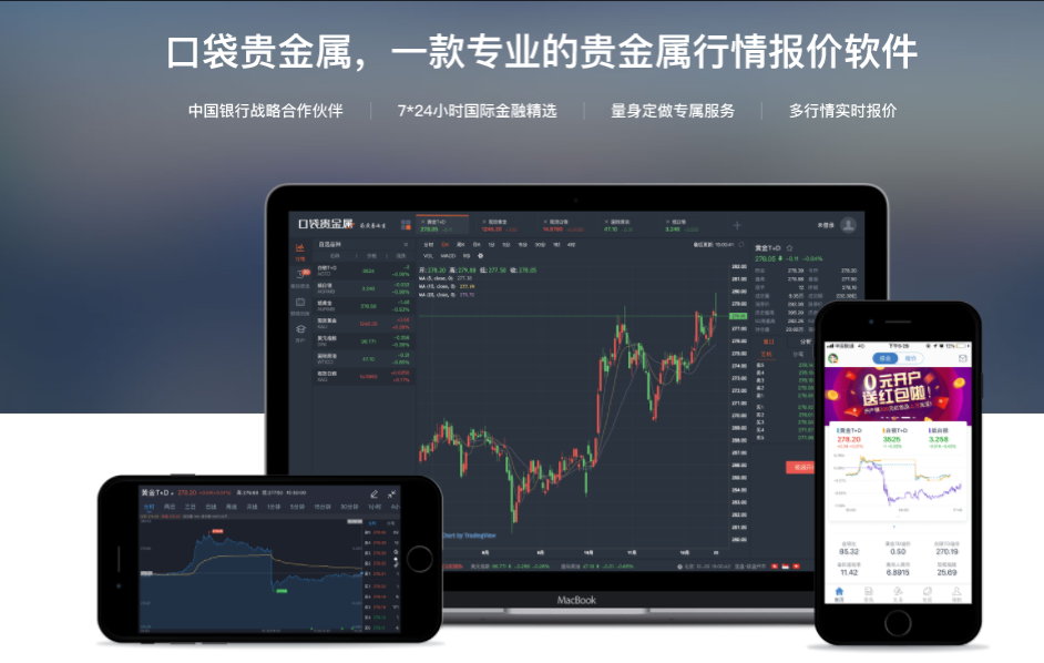 口袋贵金属电脑版下载