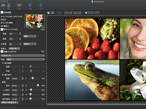 PhotoZoom Mac破解版