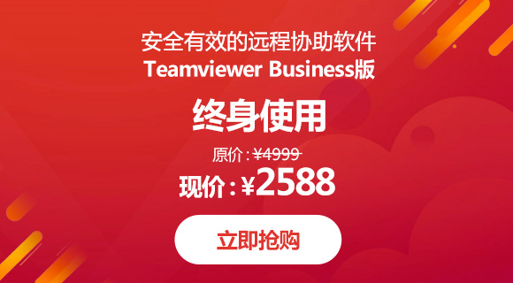 teamviewer中文版下载