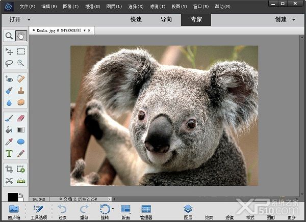 Ps Elements 2019破解版下载