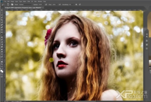 Venus Retouch Panel下载