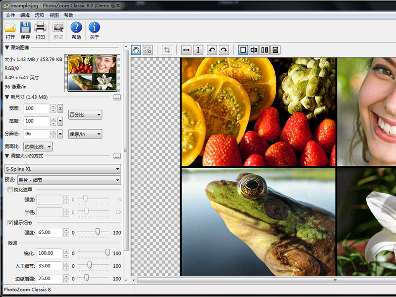 PhotoZoom Classic破解版下载