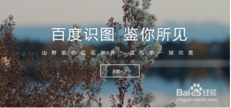 百度识图