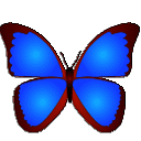 bkViewer(数码照片浏览) v5.4k 绿色免费版