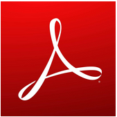 Adobe Acrobat DC Pro 2019中文版 v2019.021.20056 绿色精简版