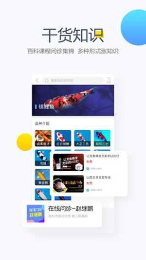 龙巅