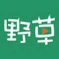 野草集在线观看视频